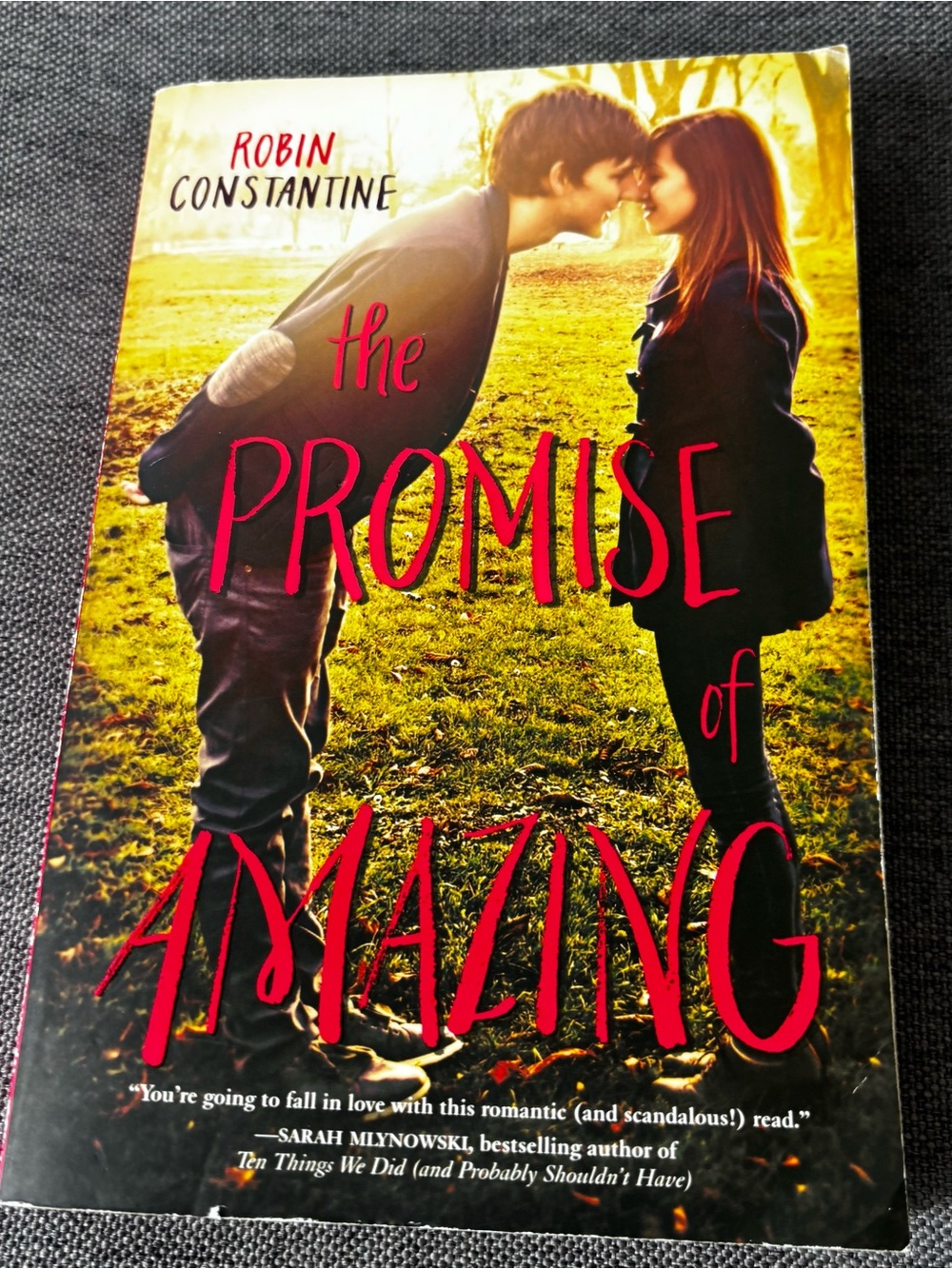 The Promise of Amazing by Robin Constantine - YA Romance Paperback